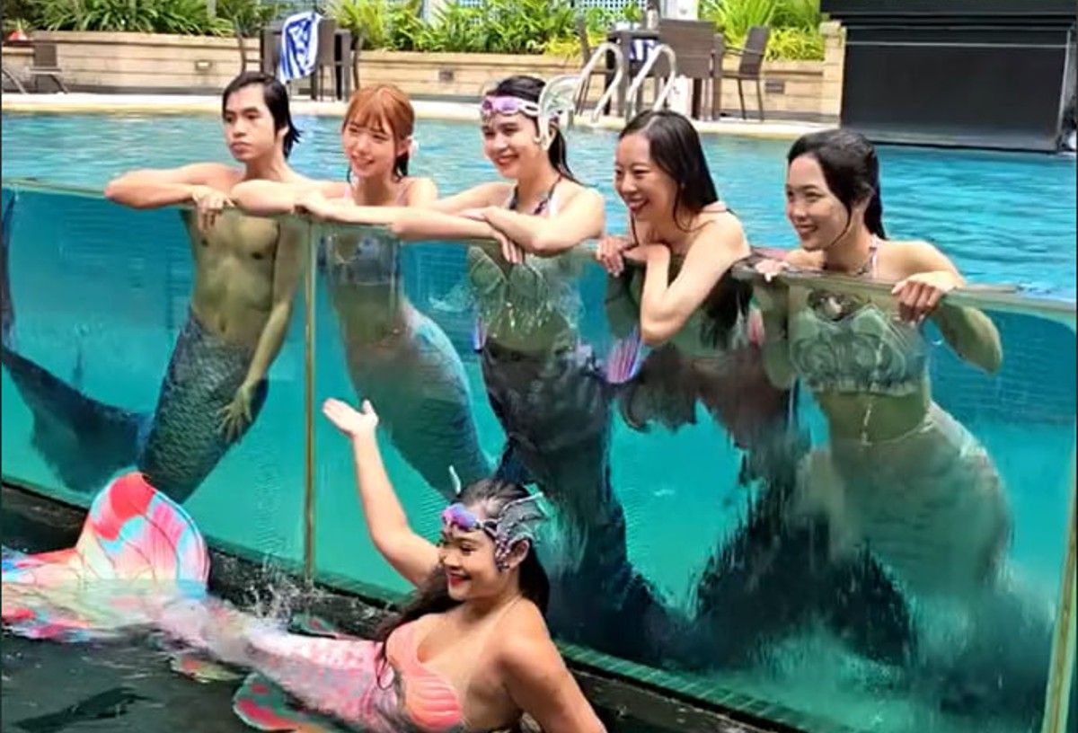 В конце курсов участникам выдают сертификаты В конце курсов участникам выдают сертификаты