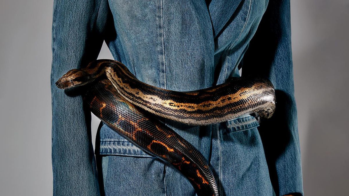 Названо вбрання, яке залучить в новорічну ніч багатство Названо вбрання, яке залучить в новорічну ніч багатство