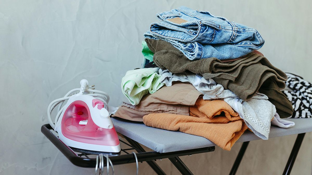 Список вещей, которые нельзя гладить Список вещей, которые нельзя гладить