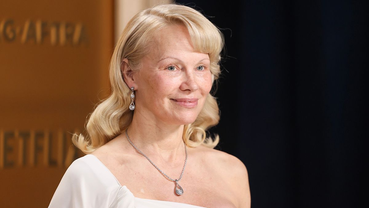 Красивый образ Памелы Андерсон Красивый образ Памелы Андерсон