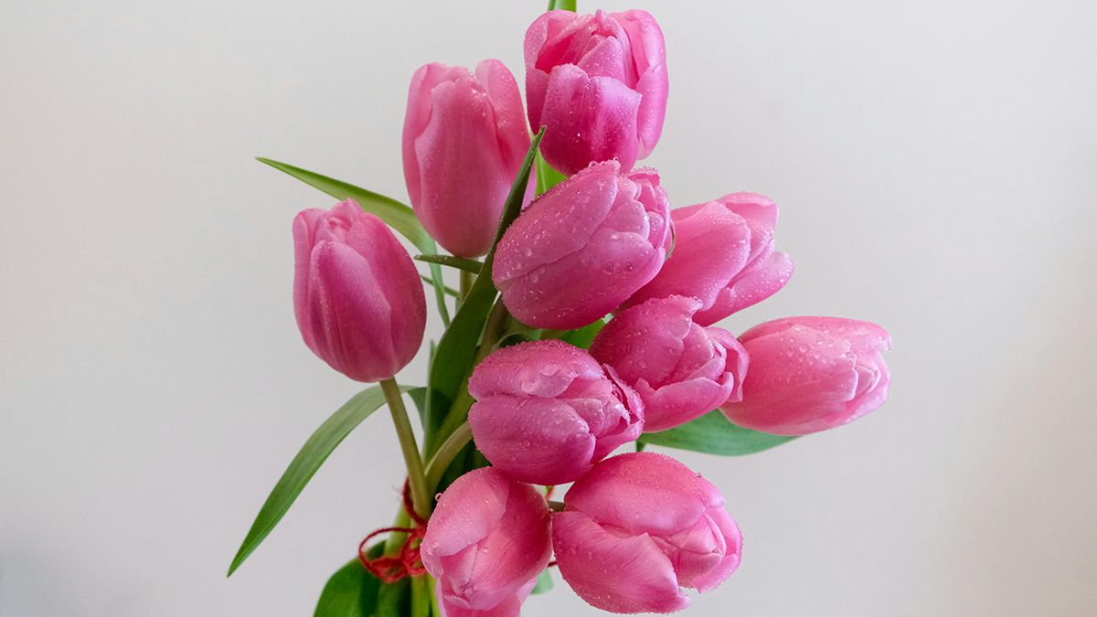 Привітання сестрі з 8 березня Привітання сестрі з 8 березня