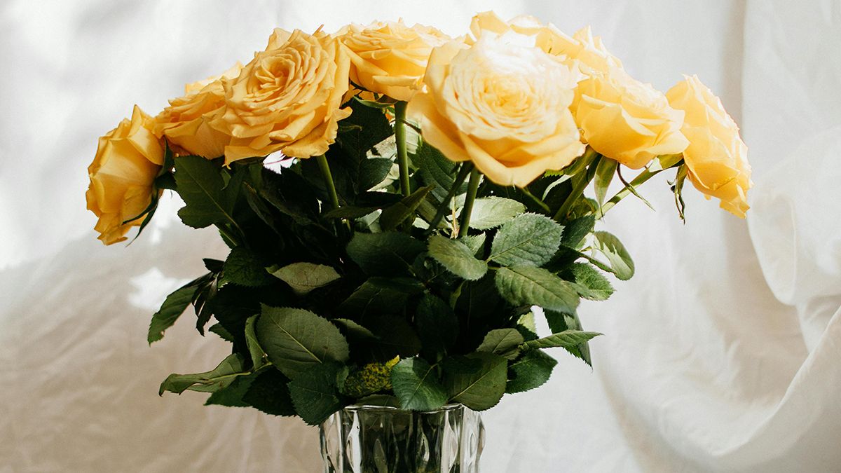 Желтые цветы символизируют разлуку Желтые цветы символизируют разлуку