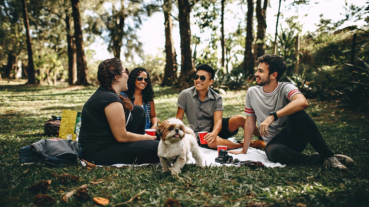 Поздравления с Международным днем друзей Поздравления с Международным днем друзей