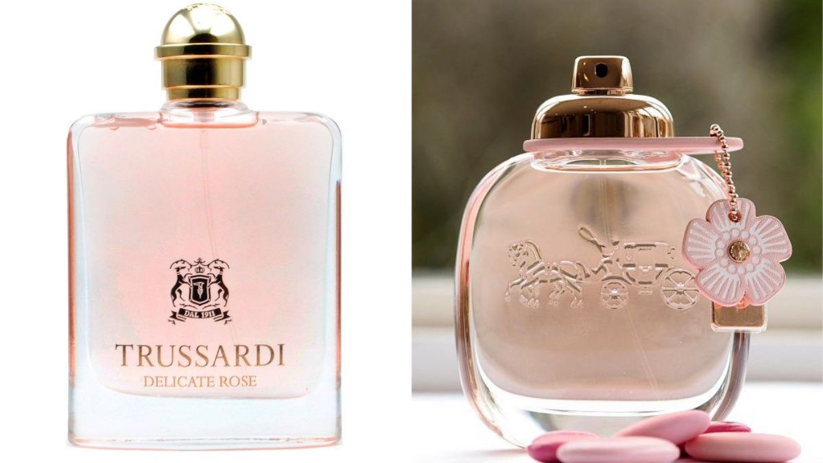 Ароматы, которые имеют приятный запах Ароматы, которые имеют приятный запах