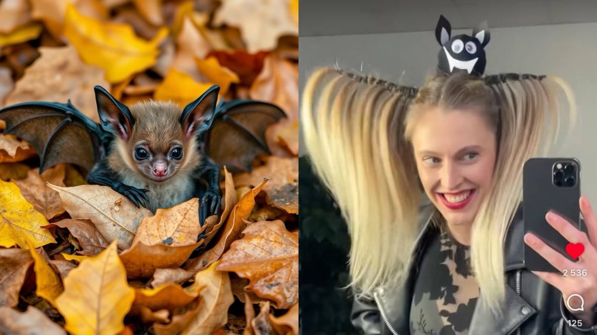 Весела зачіска "Кажан" на Геловін